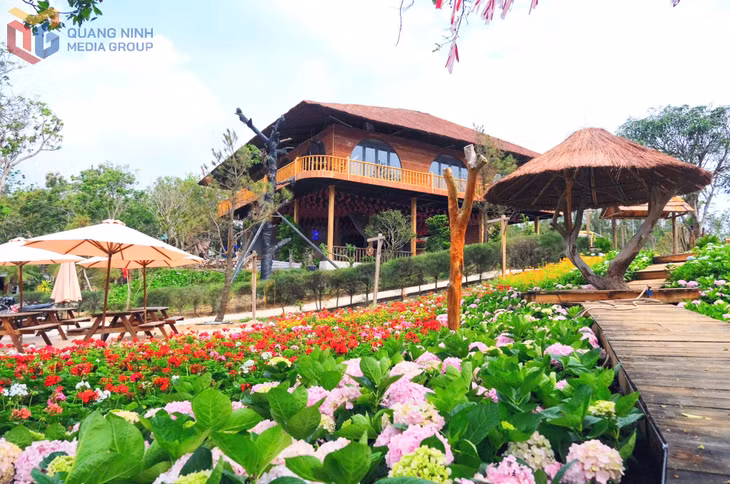 A peaceful space where vibrant flowers bloom under the sunlight and sea breeze