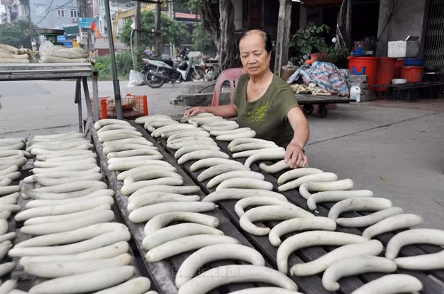 A local woman dries long pickling melon, a specialty of Bắc Ninh Province. Photo afamily.vn