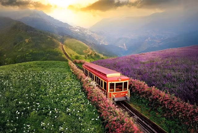 MOVING BEAUTY: The Mường Hoa mountain train promotes eco-tourism in Sa Pa. VNA/VNS Photo