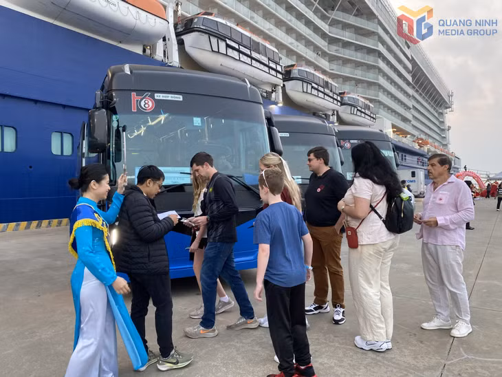 Các chuyến xe đưa khách tàu biển chuẩn bị tham quan các điểm du lịch nổi tiếng của Quảng Ninh.