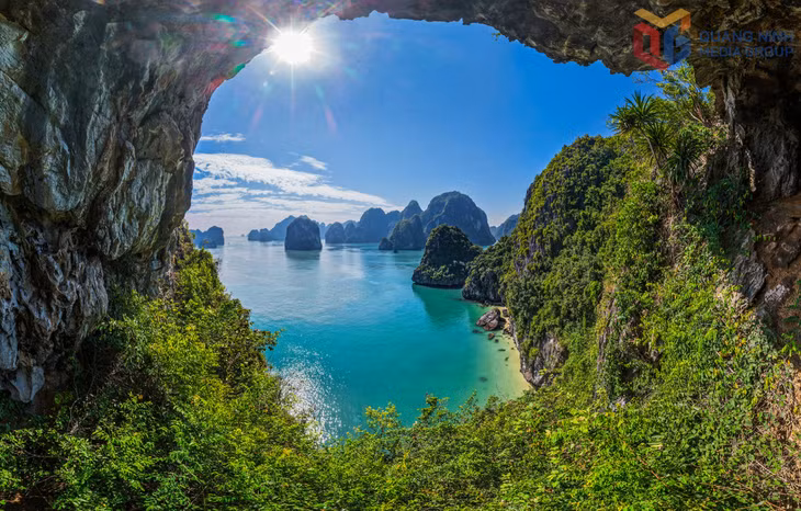 The vegetation system of Bai Tu Long Bay is remarkably rich, with nearly 800 plant species growing in lush green tones, even during the cold winter months.