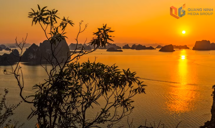 Together, these elements combine to form a poetic and striking landscape, reminiscent of a majestic ink-wash painting.