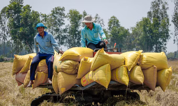 Vietnam's rice exports to Singapore surge by 28%