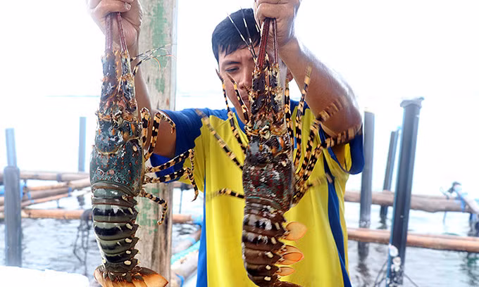 Vietnam's seafood exports nearing $11 bln in 2022