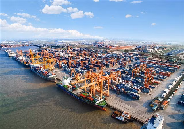 More room to develop Việt Nam's international shipping fleet ảnh 1
