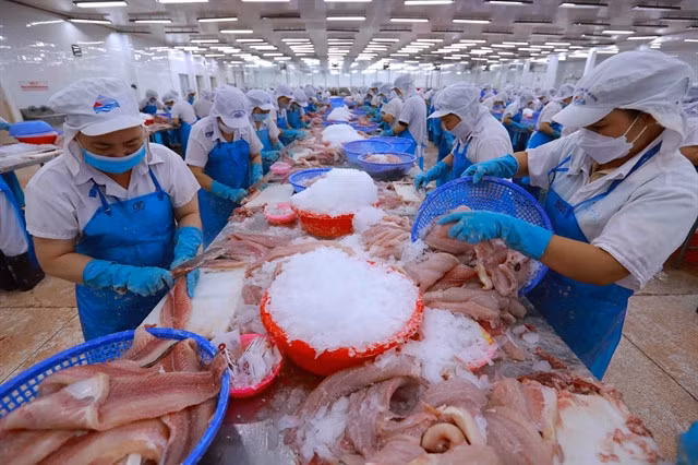 Fishery products procesed for export. Việt Nam's export successes have stemmed not only from production efforts but also from a strategy of deep international integration. — VNA/VNS Photo Vũ Sinh