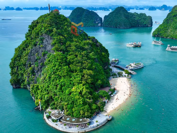 Tour boats take visitors to explore and experience the captivating destinations across the heritage bay.