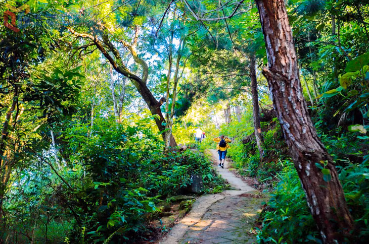 The journey to discover Cao Xiem winds through pine-covered trails, where the air is fresh and the beauty of nature unfolds at every step.