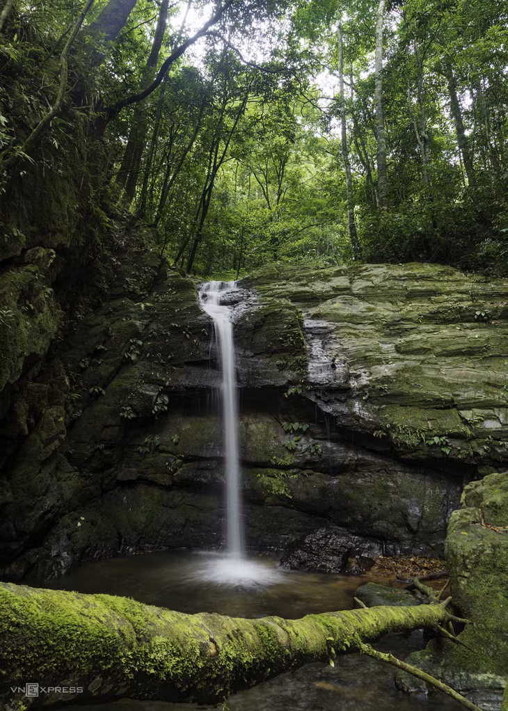 Immersing in nature's grandeur: Dakrong Nature Reserve ảnh 6 Immersing in nature's grandeur: Dakrong Nature Reserve