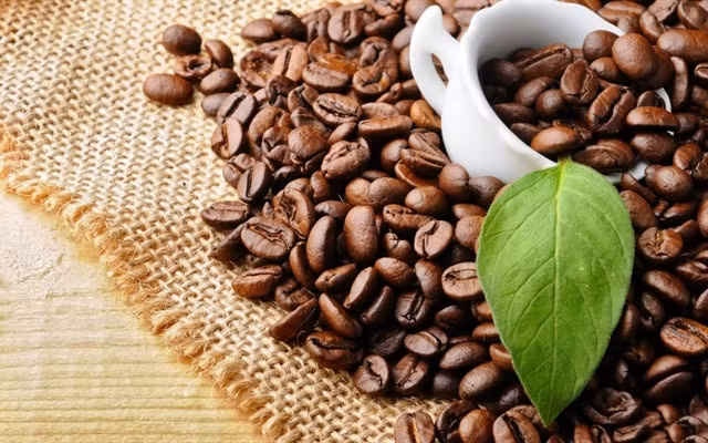 Việt Nam is the world's second-largest exporter of coffee - mainly of the robusta variety. Photo gonatour.vn