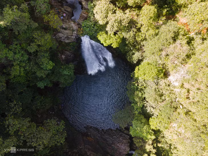 Immersing in nature's grandeur: Dakrong Nature Reserve ảnh 2 Immersing in nature's grandeur: Dakrong Nature Reserve