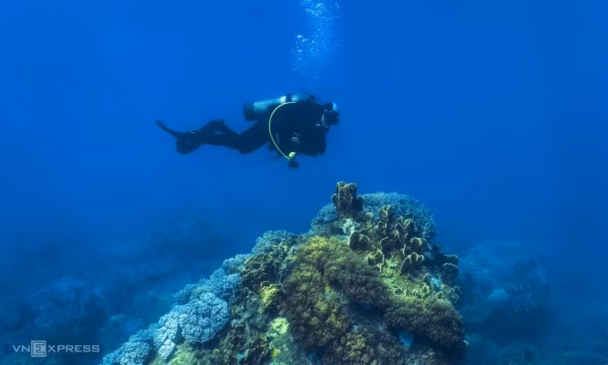 A driver at the Hon Mun Marine Protected Area, Nha Trang Bay, Khanh Hoa Province. Photo by Pham Huy Trung