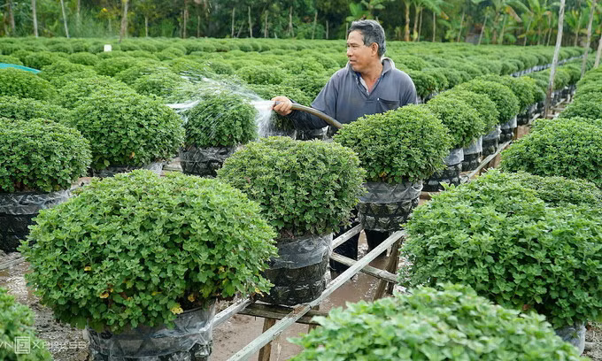 Vietnam to enjoy 7-day Tet break