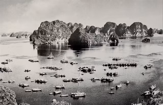 BAY OF BOATS: The floating fishing village of Lán Bè.Photos Đỗ Kha