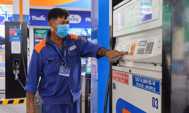 Cut gasoline taxes to control price hike, experts advise