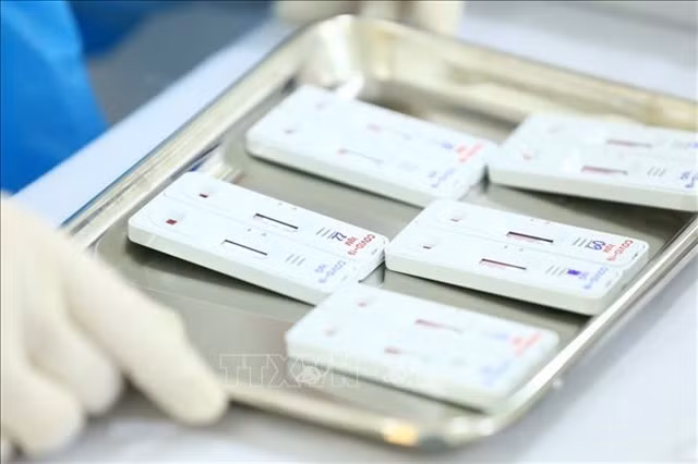 The Government have called for caution in stockpiling home rapid tests. The Tết holidays are said to be the main reason for the increased demand for rapid tests.