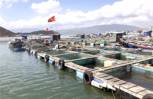 Fish cages on the sea. Việt Nam had around 500,000ha of water surface that could be used for marine farming. — VNA/VNS Photo Nguyên Linh