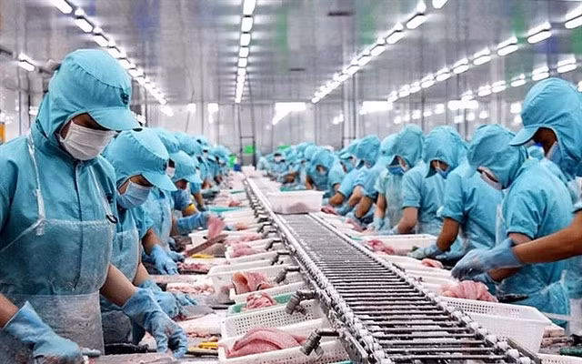In July, seafood exports were valued at an estimated $830 million, down 11 per cent compared to the same period in 2022. — Photo courtesy of congthuong.vn