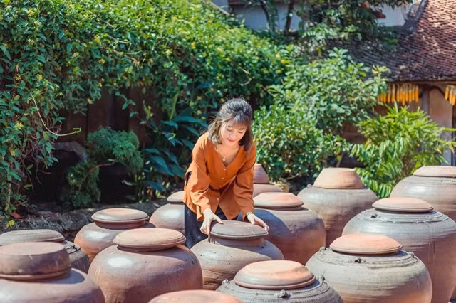 ANCIENT CRAFT: Large terracotta jars are seen on the courtyards of almost all ancient houses in Đường Lâm Village. They are used to store and ferment soy sauce, known as 'tương' in Vietnamese. Photo disantrangan.vn