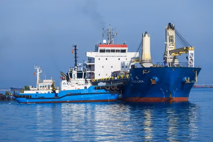 Hoa Phat Dung Quat container port welcomes first ship ảnh 1
