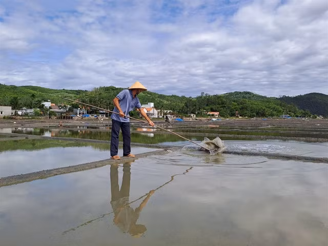 INSPECTION: A farmer checks the quality of seawater in a process of salt crystalising in Đức Phổ Town of Quảng Ngãi Province. VNS Photo Công Thành