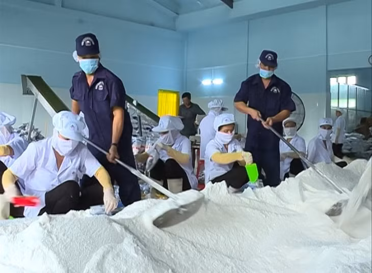 High quality export salt processing factory in Bac Lieu.
