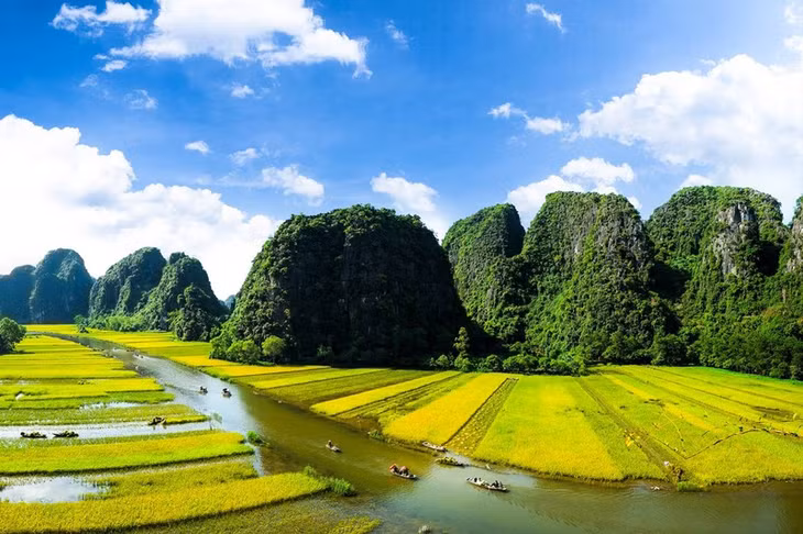 The Ngo Dong River and rice fields in Ninh Binh (Shutterstock)