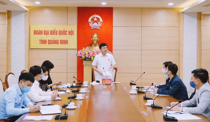 The Standing Deputy Secretary of the Provincial Party Committee, Head of the Provincial National Assembly Delegation, Ngo Hoang Ngan, chaired the meeting.