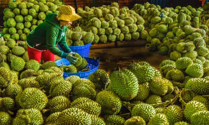 6-month agriculture exports near last year’s total