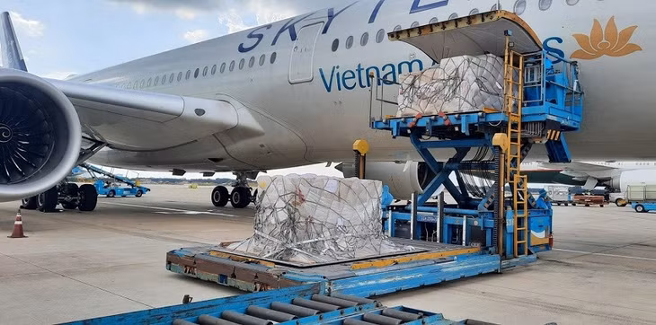 More than 203,000 rapid test kits donated by Germany to Vietnam have safely arrived in Ho Chi Minh City (Photo: Vietnam Airlines)
