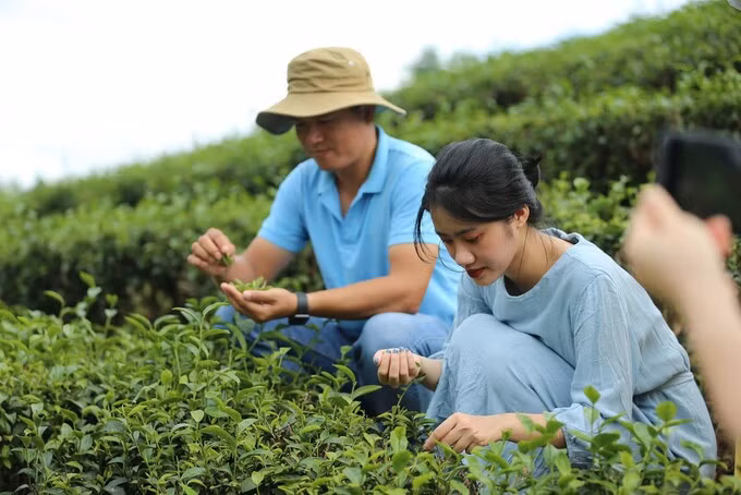 Rural tourism development must be associated with digital transformation and towards the goals of developing high-quality tourist destinations and products with the Smart Tourism Village model. Photo: Pham Hieu.