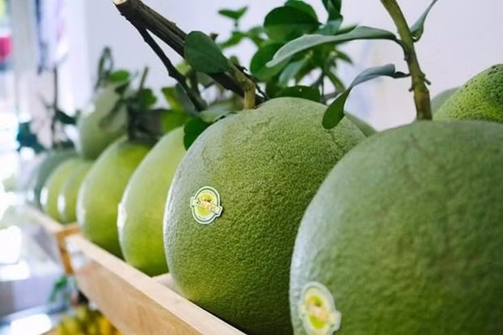 Vietnamese pomelo has been licenced to be exported to the US. (Photo: Ministry of Industry and Trade)
