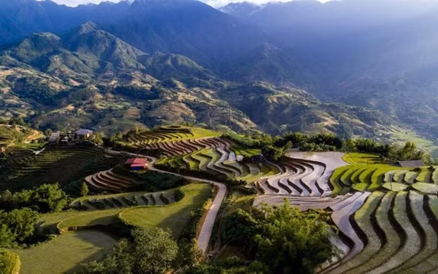 Terraced rice fields in Sa Pa, Lao Cai (Photo: Screenshot)