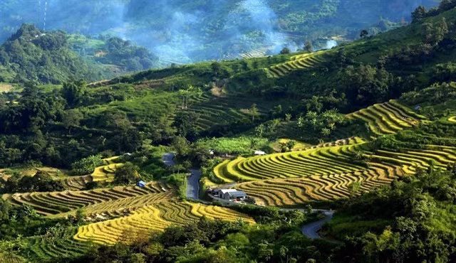 Terrace rice fields in Phong Thổ District, the northern mountainous province of Lai Châu. — VNA/VNS Photo Quý Trung