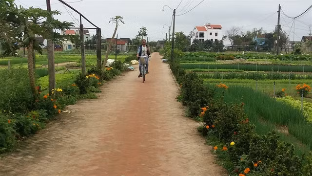 A tourist explores Hội An by bicycle. Bicycles are favoured by many tourists in Hội An. VNS Photo Công Thành