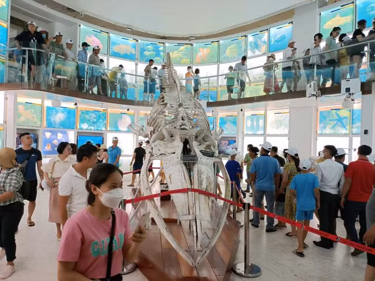Quang Ninh museum attracts various tourists.