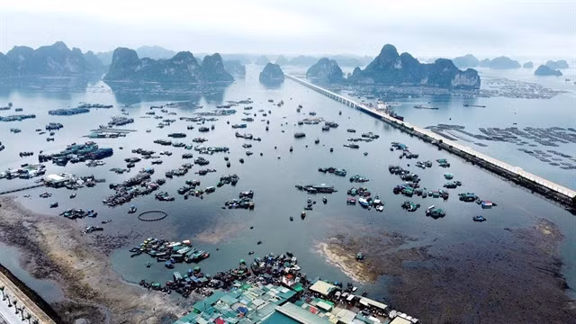 Bến Do fish market is located near Bái Tử Long Bay, which is part of the Hạ Long Bay, a UNESCO World Heritage Site VNA/VNS Photo Huy Hùng