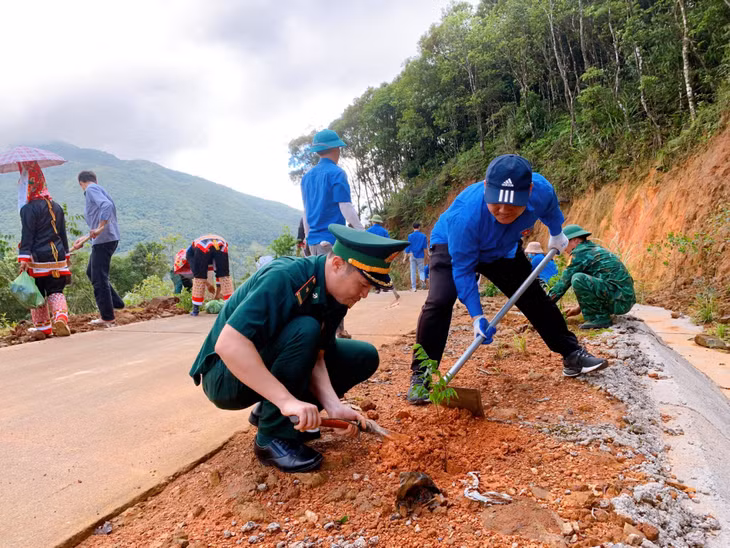 4,000 large trees have been grown along the border belt road since the beginning of the year.
