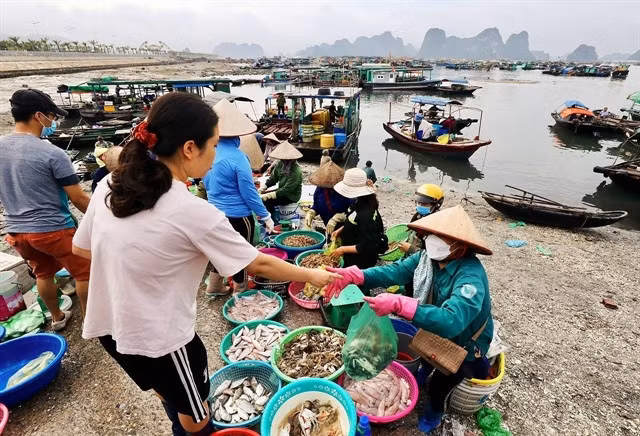 The fish market is known for its fresh seafood products, all sold at reasonable prices. VNA/VNS Photo Huy Hùng