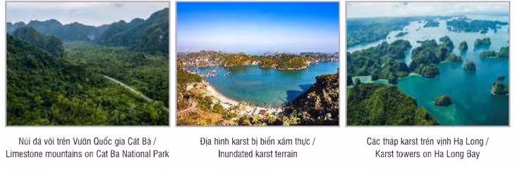 Ha Long Bay-Cat Ba Archipelago recognized as world natural heritage ảnh 4