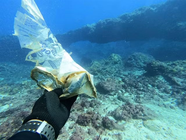 OCEAN TRASH: Waste is collected by a diver at sea in central Việt Nam. Photo courtesy of Đào Đặng Công Trung