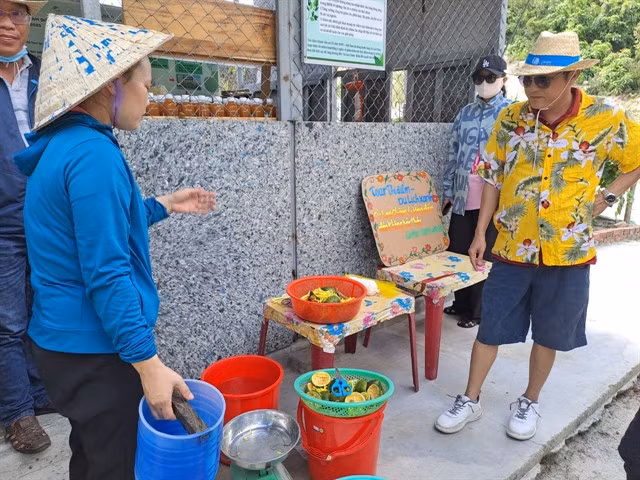 READY TO RECYCLE: A visitor checks a Material Recovery Facility station in Chàm Islands of Hội An City. VNS Photo Công Thành