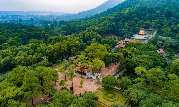 Chùa Côn Sơn (TP Hải Phòng).