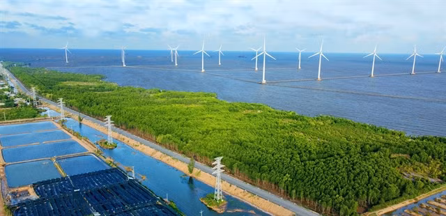 A wind farm in Cà Mau Province. — VNA/VNS Photo Chanh Đa