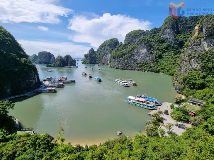 A refreshing green vista opening out to the bay from Sung Sot cave, where lush foliage frames sweeping views of the emerald waters of Ha Long Bay.