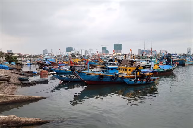 Fishing vessels that do not meet the requirements for vessel registration and fishing licenses are moored at Thọ Quang Fishing Port in Sơn Trà Ward, Đà Nẵng. These vessels are not permitted to operate at sea. VNA/VNS Photo Đỗ Trưởng
