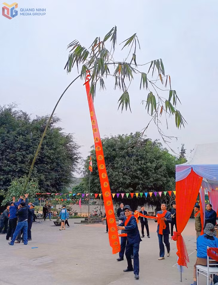 The Phan branch-raising ritual, performed to pray for peace, good fortune, and abundant harvests, is a central highlight of the New Year ceremonies of the San Dìu community in Lo Phong village.