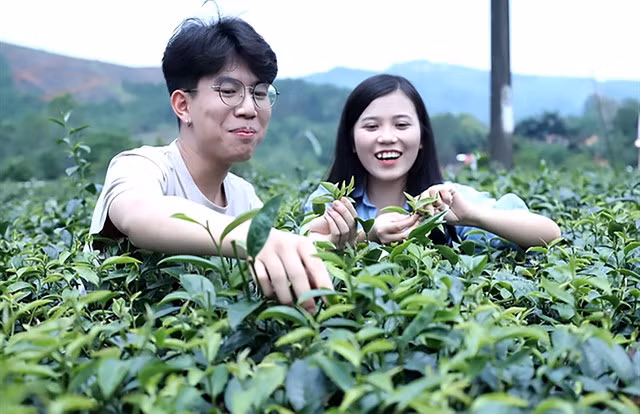 Agritourism attracts may visitors, helping local farmers improve their income. -- VNA/VNS Photo Tuấn Anh