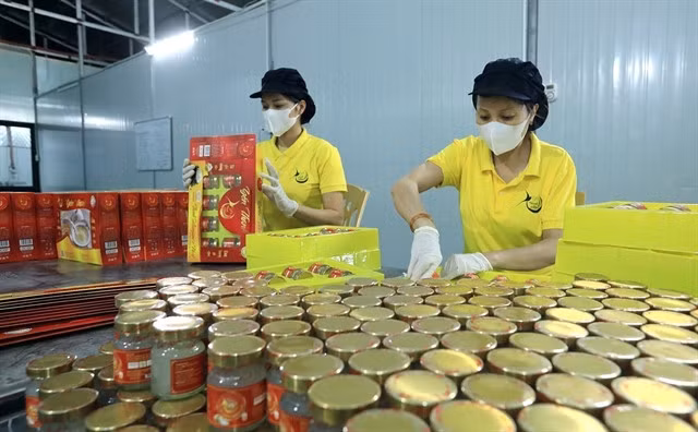 A small enterprise processing bird nests. The State should have suitable tax policies to encourage the conversion from business households to enterprises. — VNA/VNS Photo