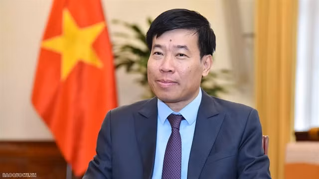 Deputy Minister of Foreign Affairs Nguyễn Mạnh Cường. — Photo baoquocte.vn